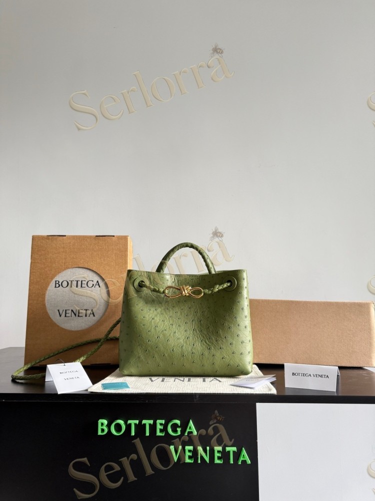 BOTTEGA VENETA SMALL ANDIAMO