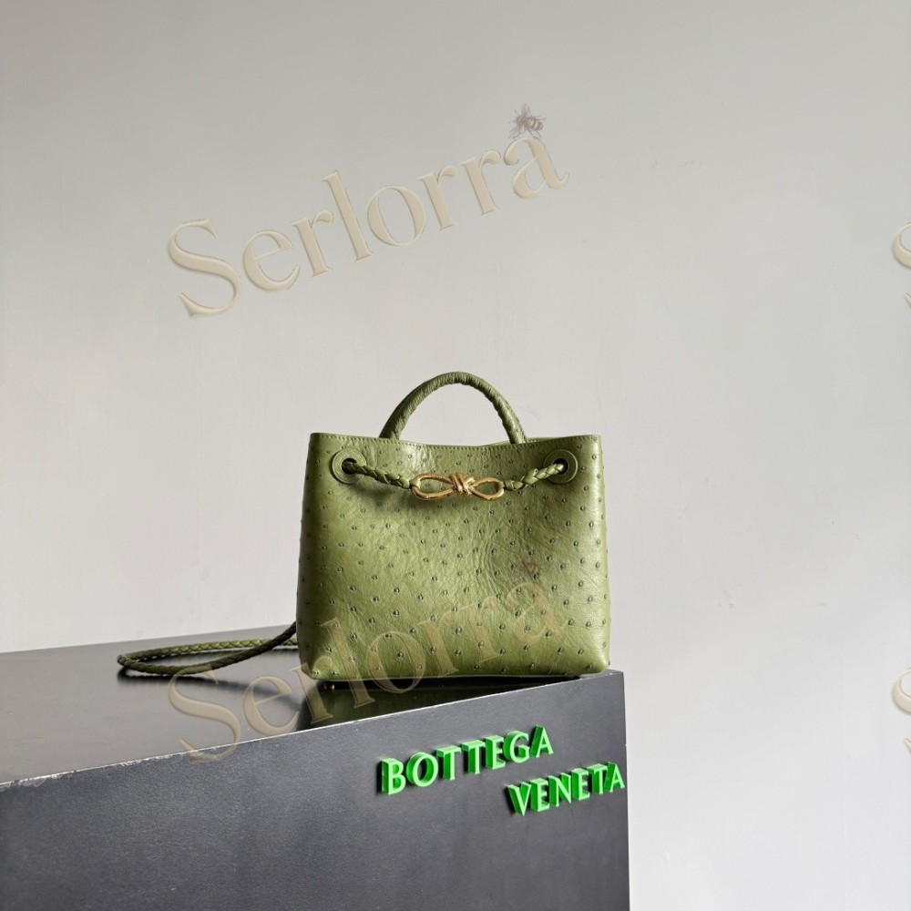 BOTTEGA VENETA SMALL ANDIAMO