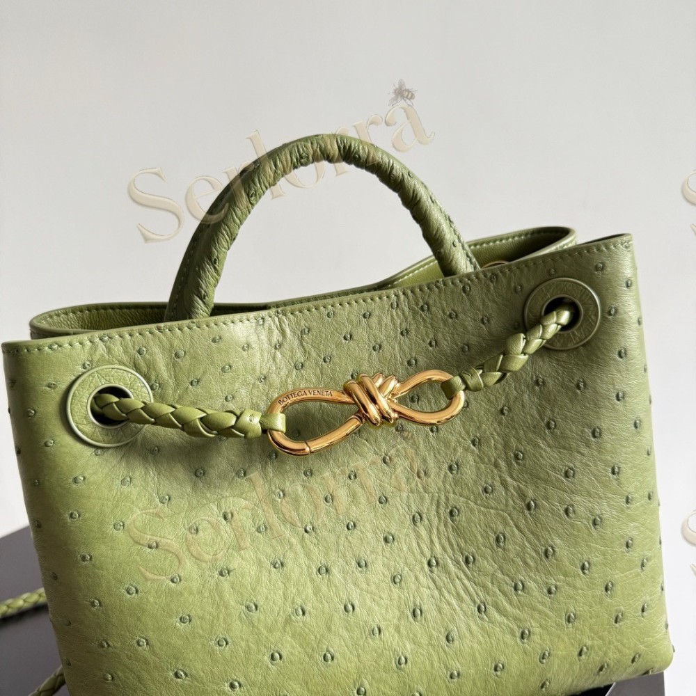 BOTTEGA VENETA SMALL ANDIAMO