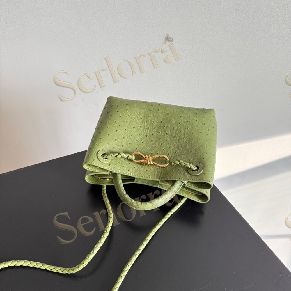 BOTTEGA VENETA SMALL ANDIAMO