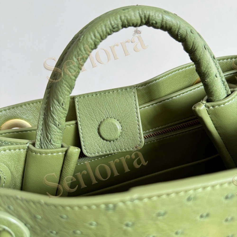 BOTTEGA VENETA SMALL ANDIAMO