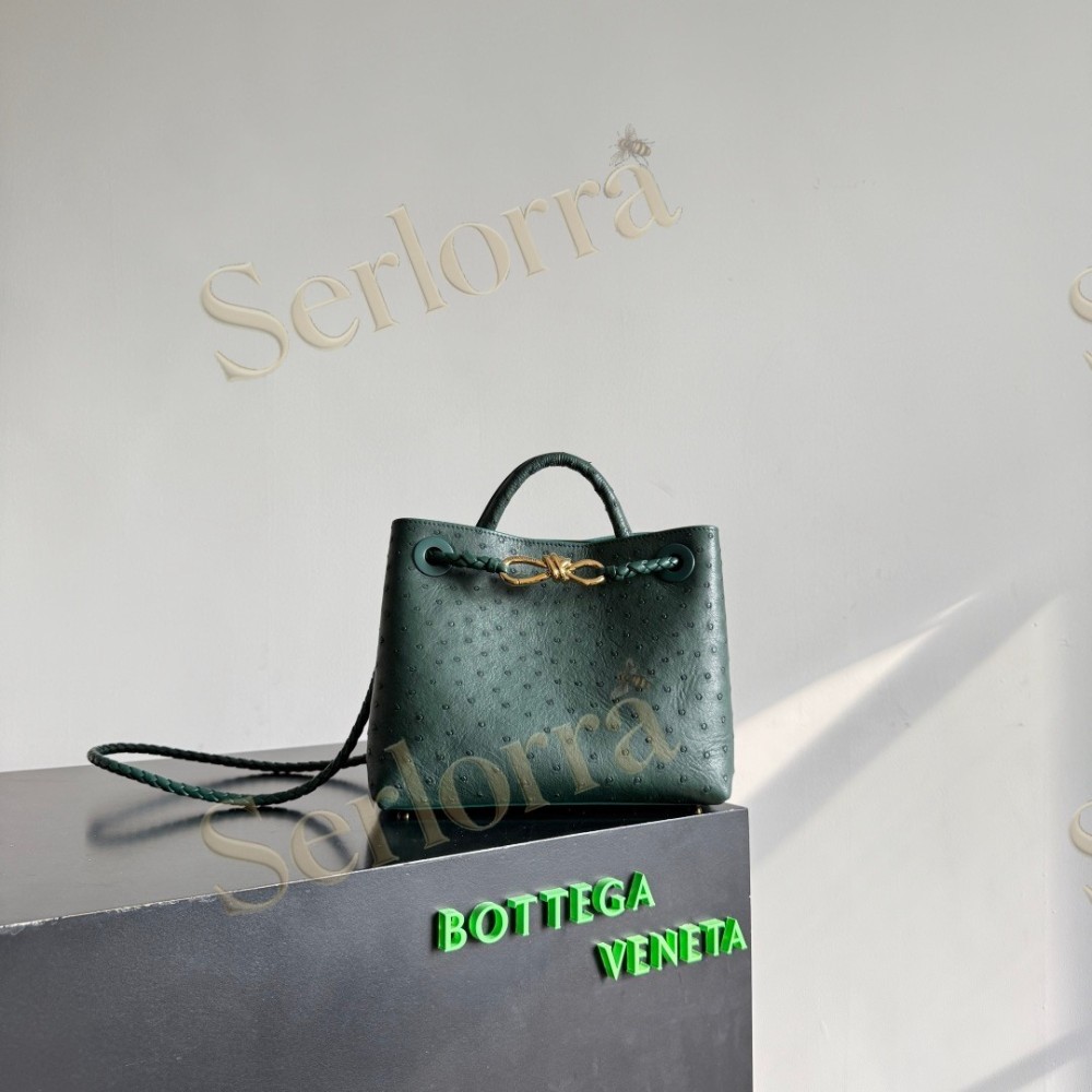 BOTTEGA VENETA SMALL ANDIAMO
