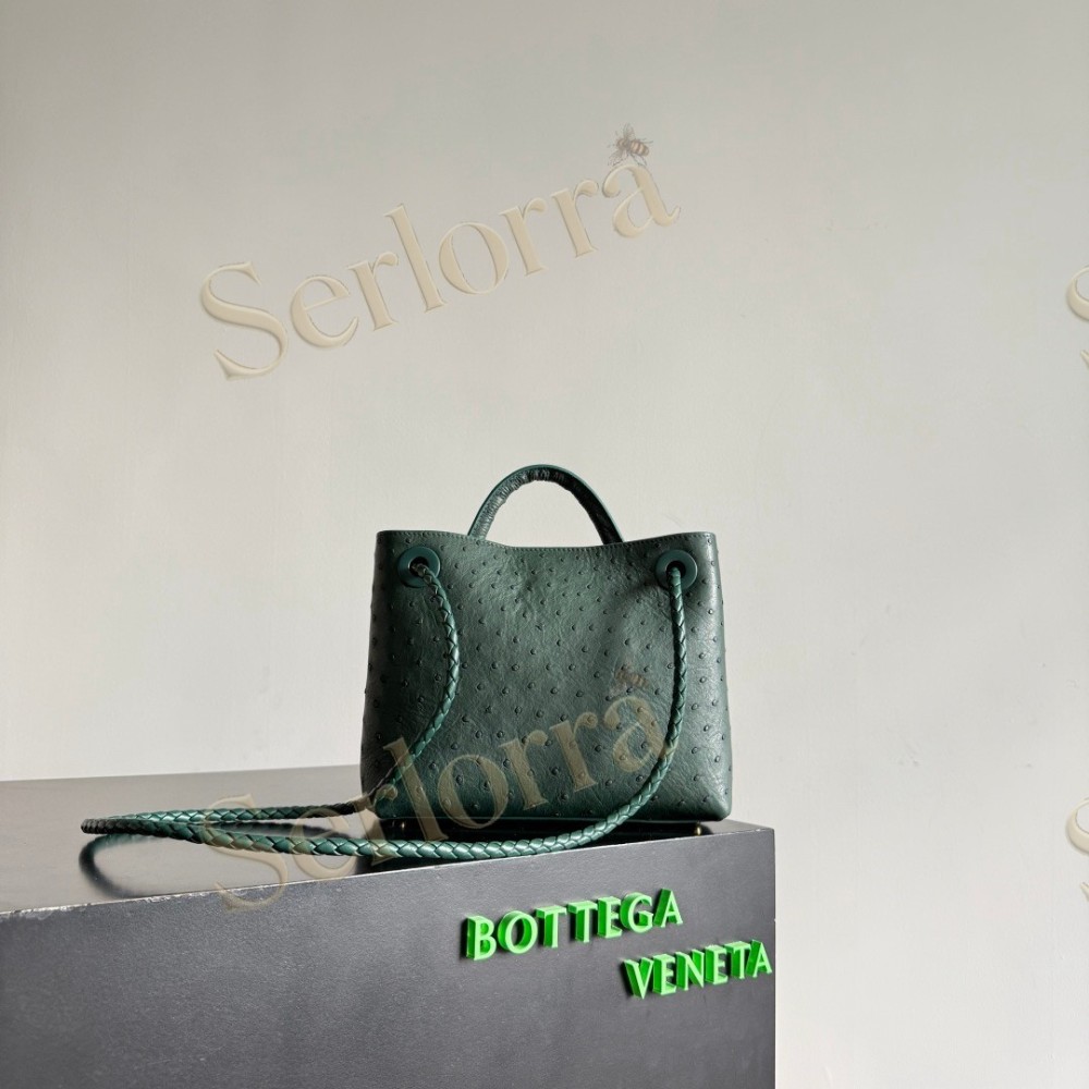 BOTTEGA VENETA SMALL ANDIAMO