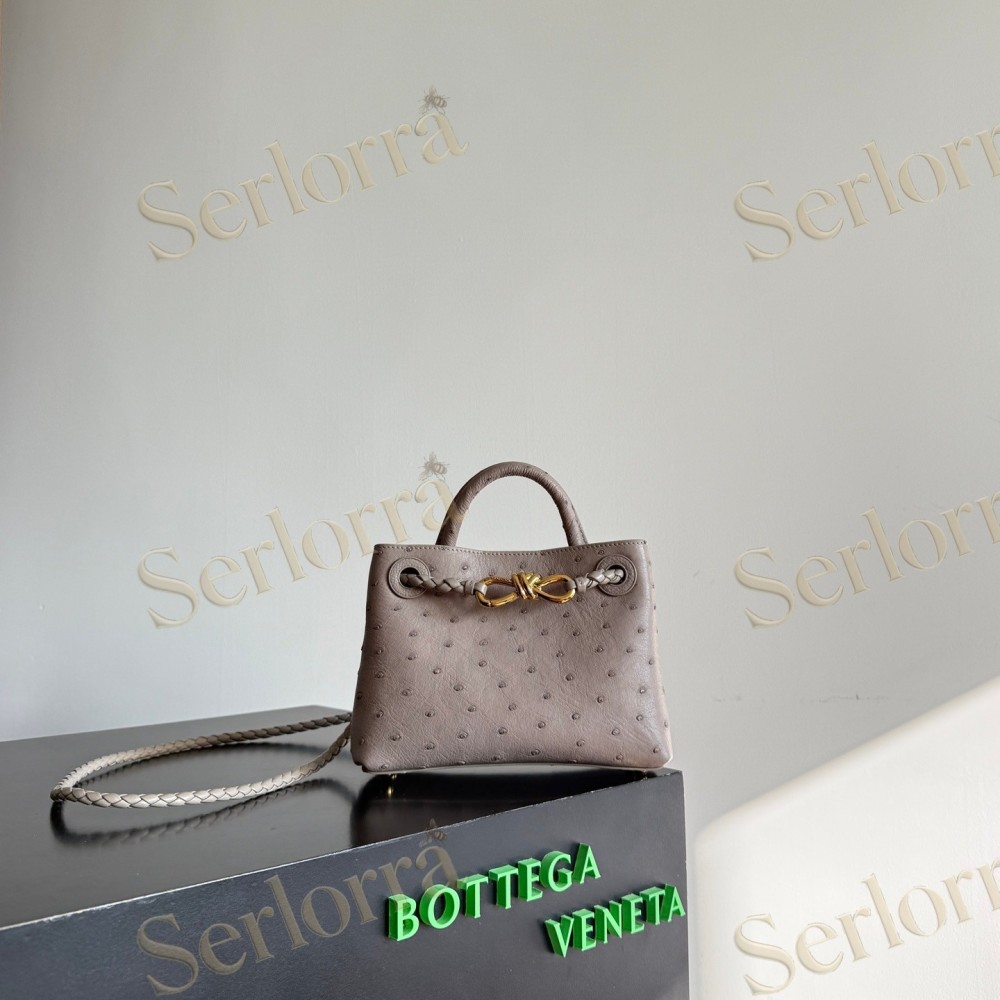 BOTTEGA VENETA MINI ANDIAMO