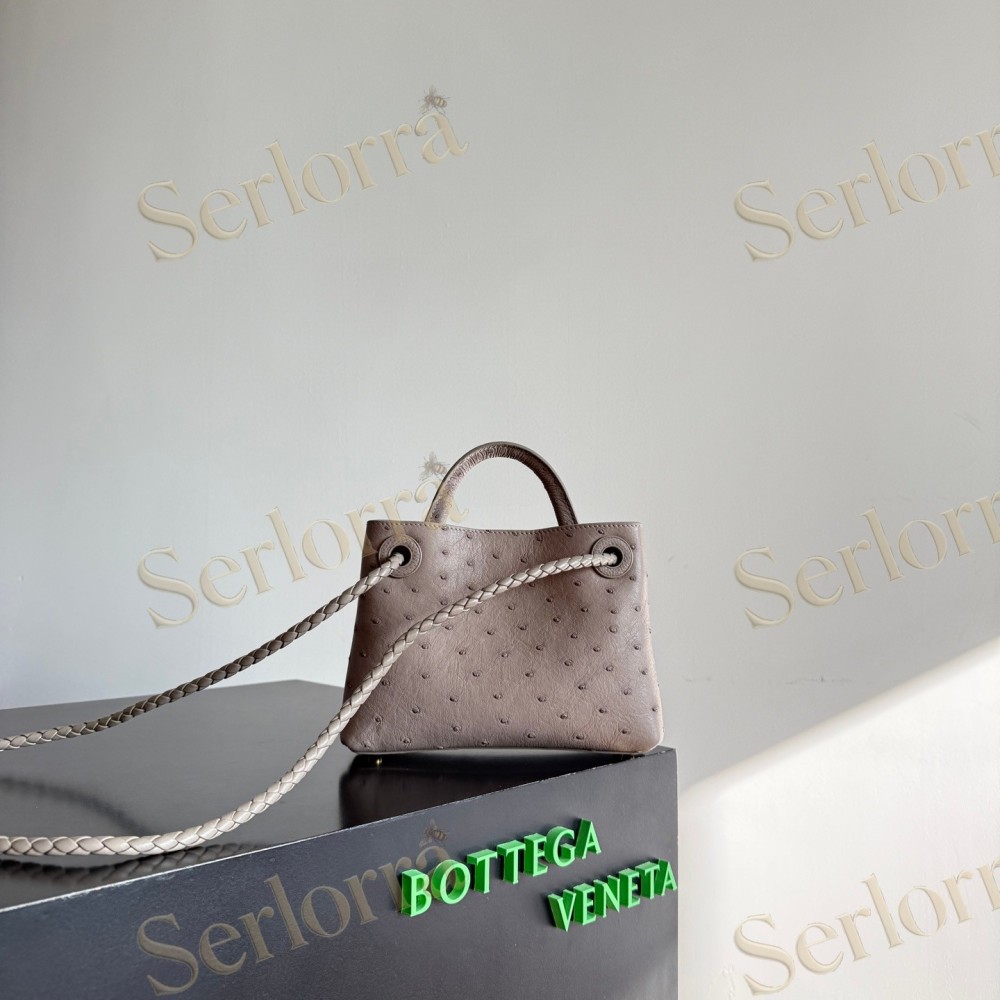 BOTTEGA VENETA MINI ANDIAMO