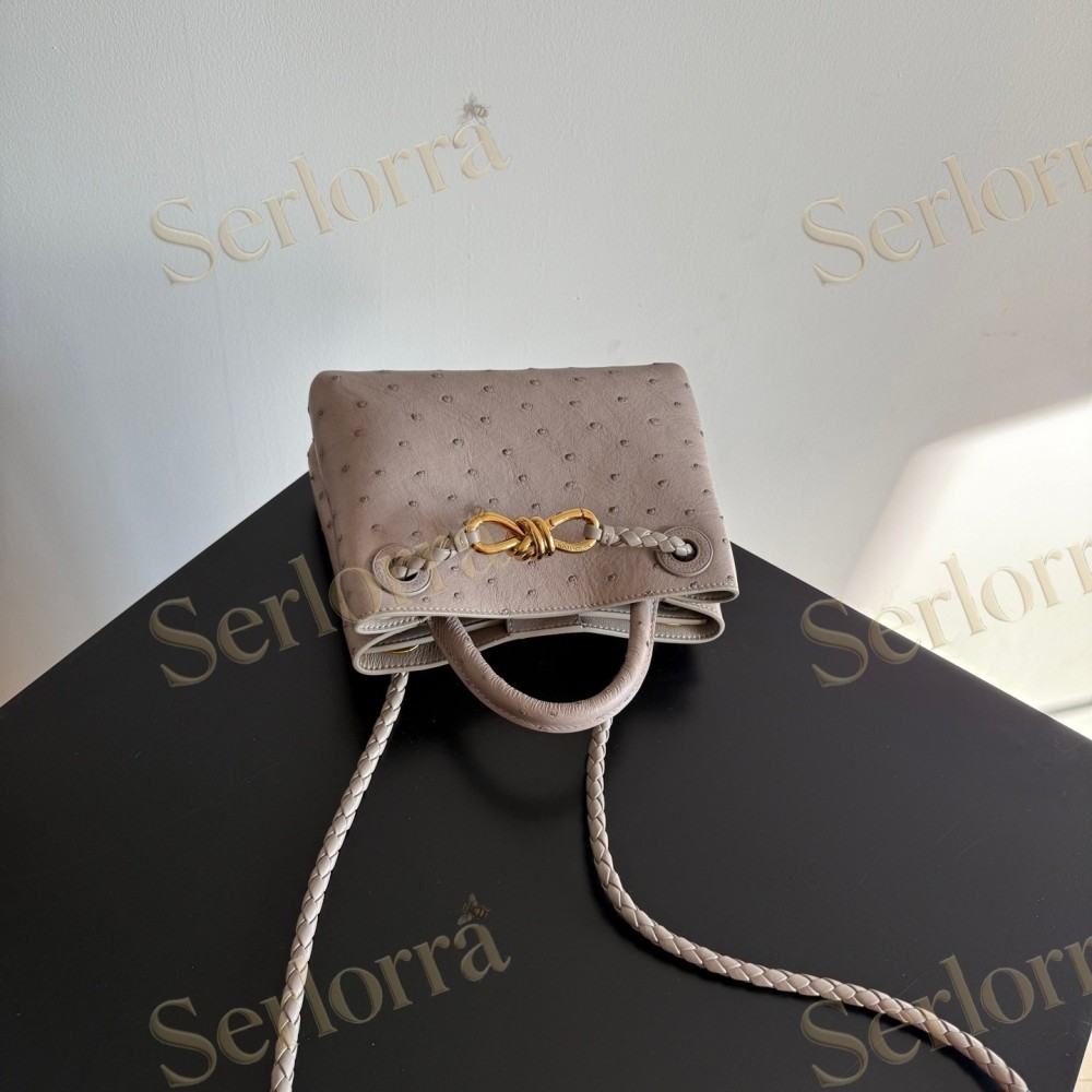 BOTTEGA VENETA MINI ANDIAMO