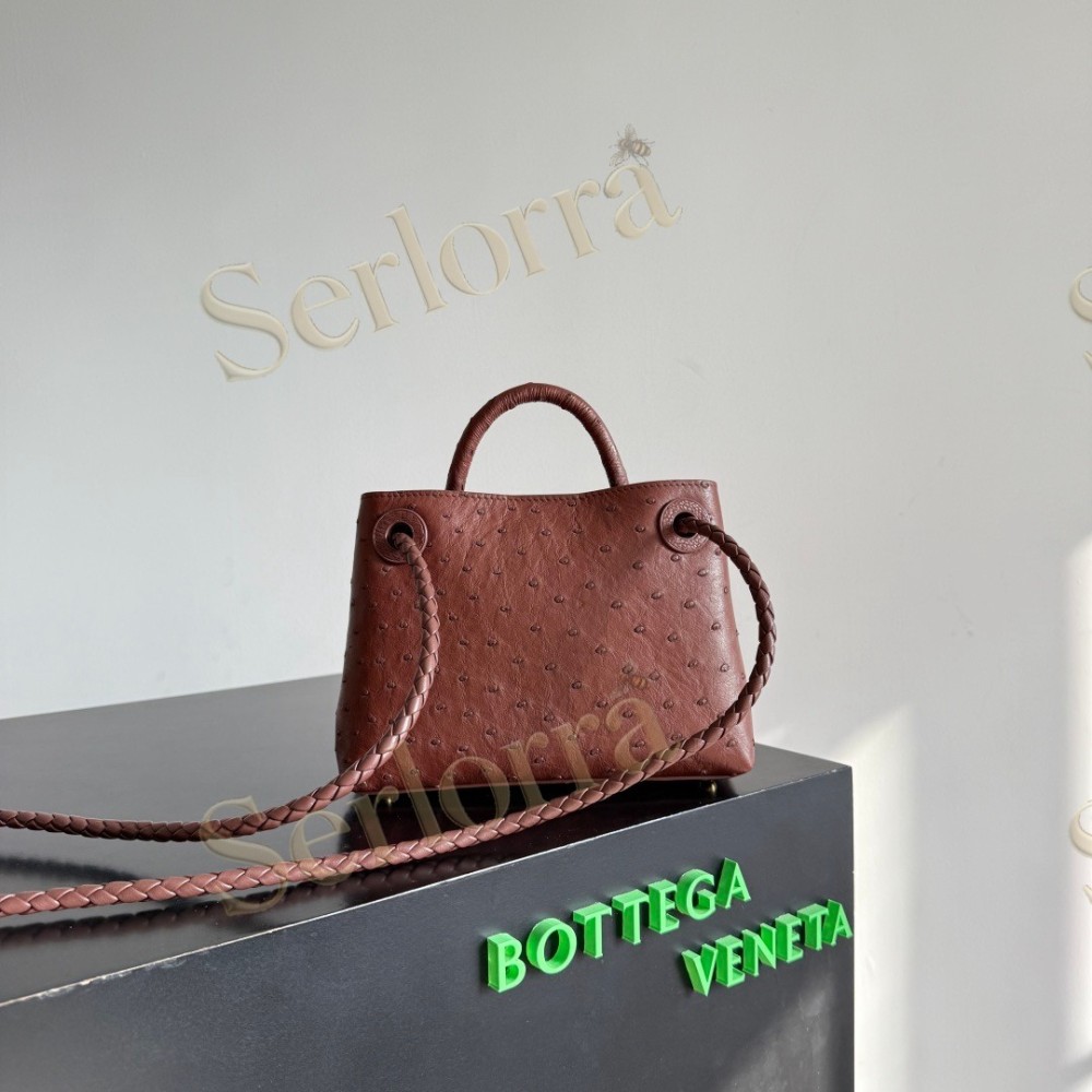 BOTTEGA VENETA MINI ANDIAMO