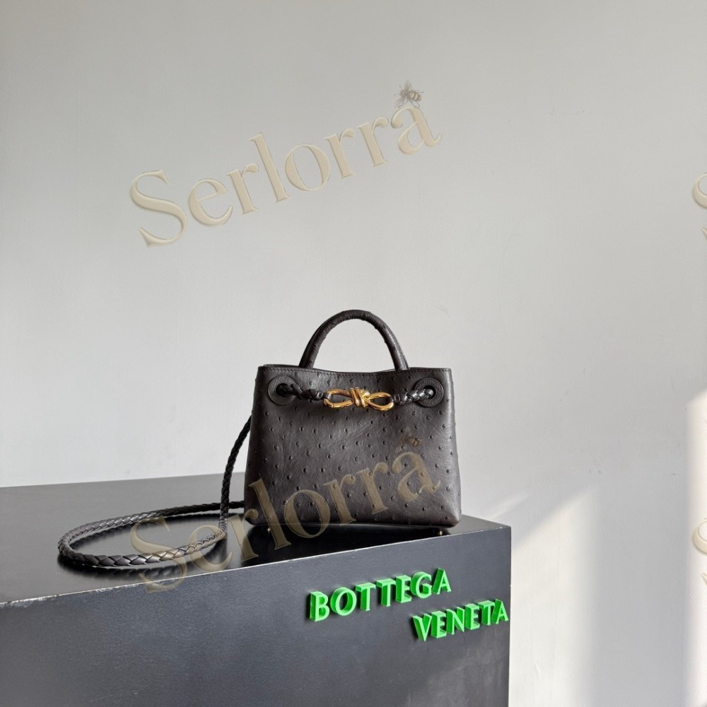 BOTTEGA VENETA MINI ANDIAMO