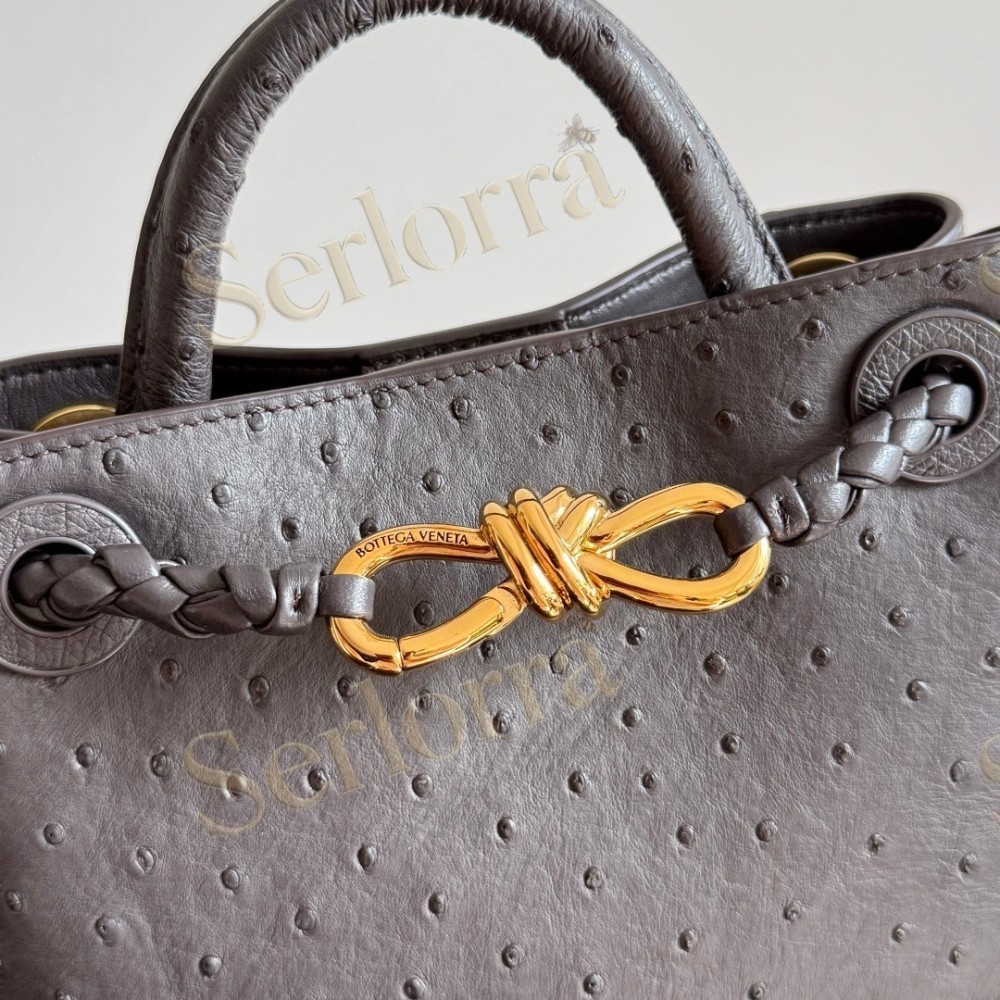 BOTTEGA VENETA MINI ANDIAMO