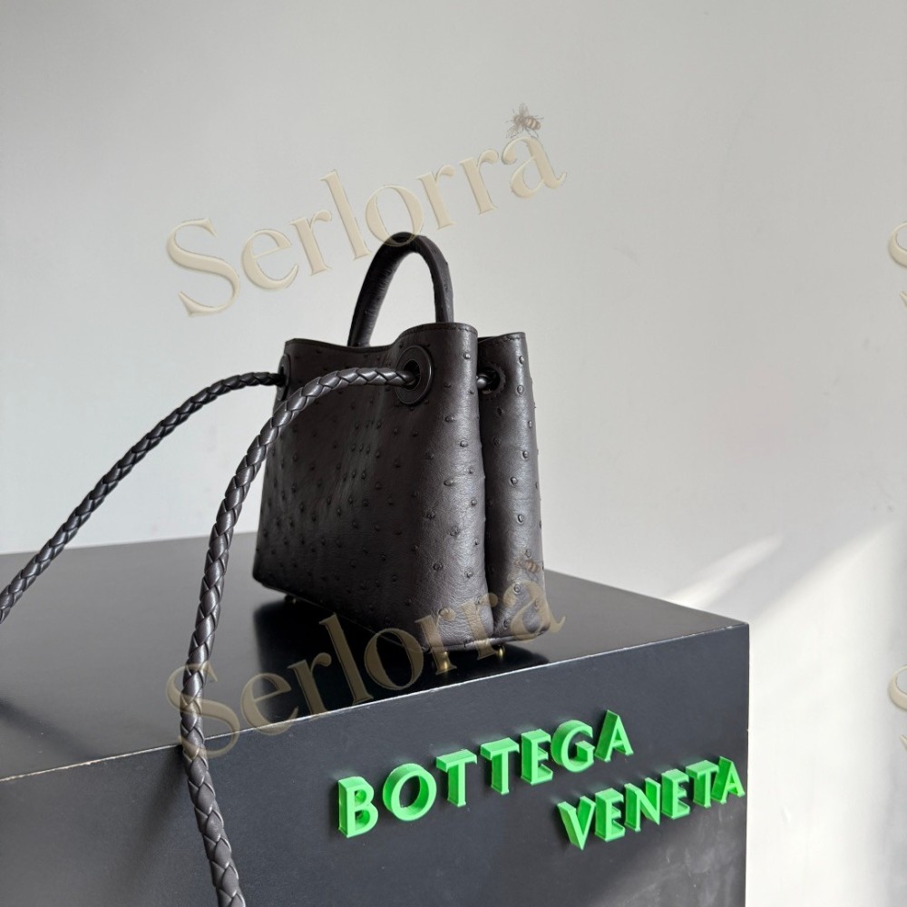BOTTEGA VENETA MINI ANDIAMO