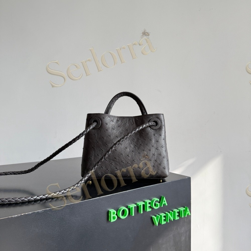 BOTTEGA VENETA MINI ANDIAMO