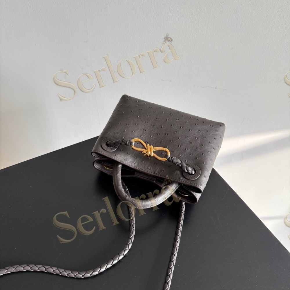 BOTTEGA VENETA MINI ANDIAMO