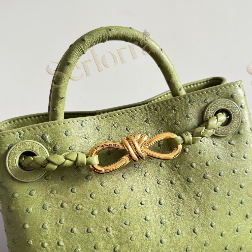 BOTTEGA VENETA MINI ANDIAMO