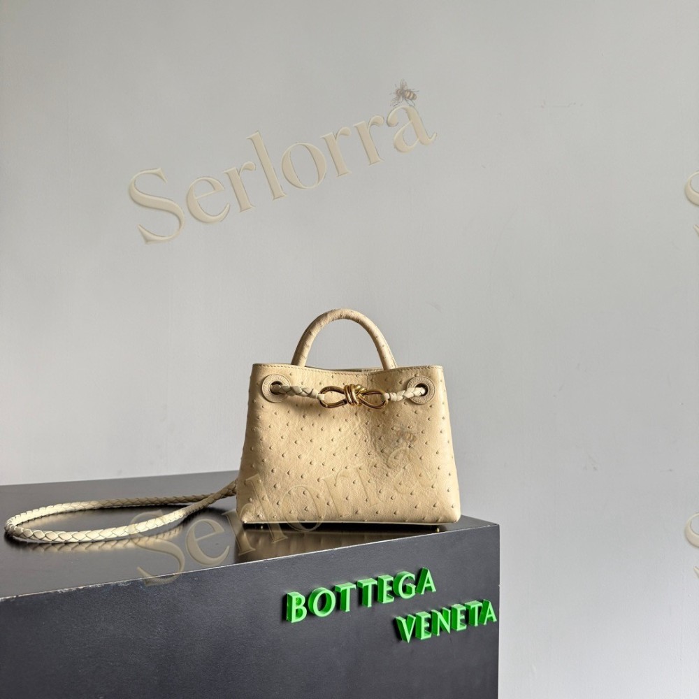 BOTTEGA VENETA MINI ANDIAMO