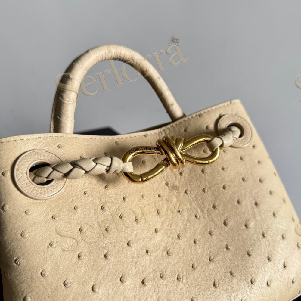 BOTTEGA VENETA MINI ANDIAMO