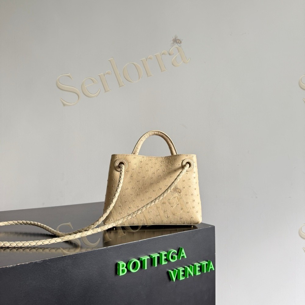 BOTTEGA VENETA MINI ANDIAMO