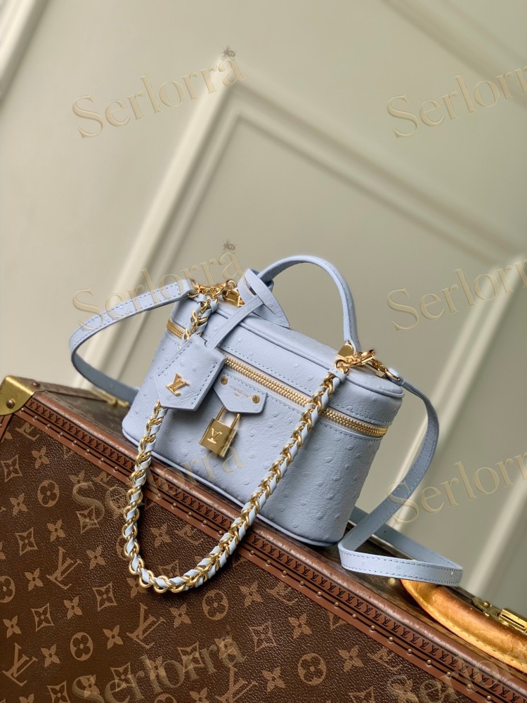 LOUIS VUITTON VANITY CHAIN POUCH