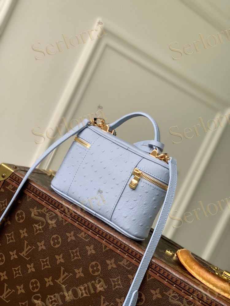 LOUIS VUITTON VANITY CHAIN POUCH