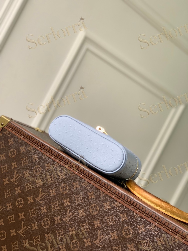 LOUIS VUITTON VANITY CHAIN POUCH