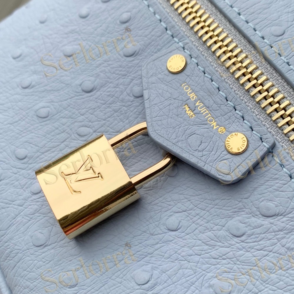 LOUIS VUITTON VANITY CHAIN POUCH