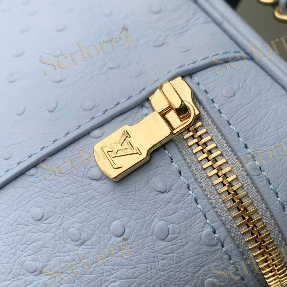 LOUIS VUITTON VANITY CHAIN POUCH