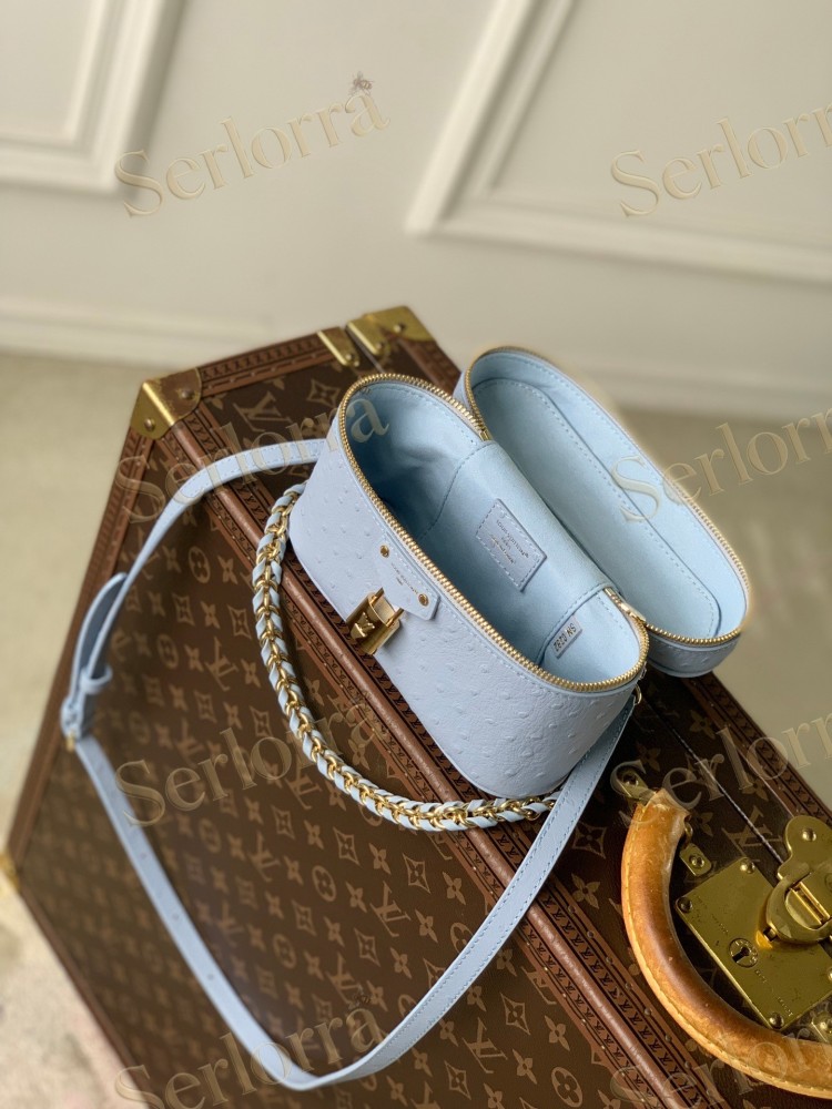 LOUIS VUITTON VANITY CHAIN POUCH