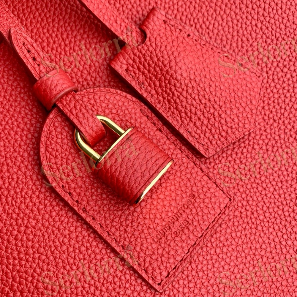 LOUIS VUITTON CAPUCINES GM