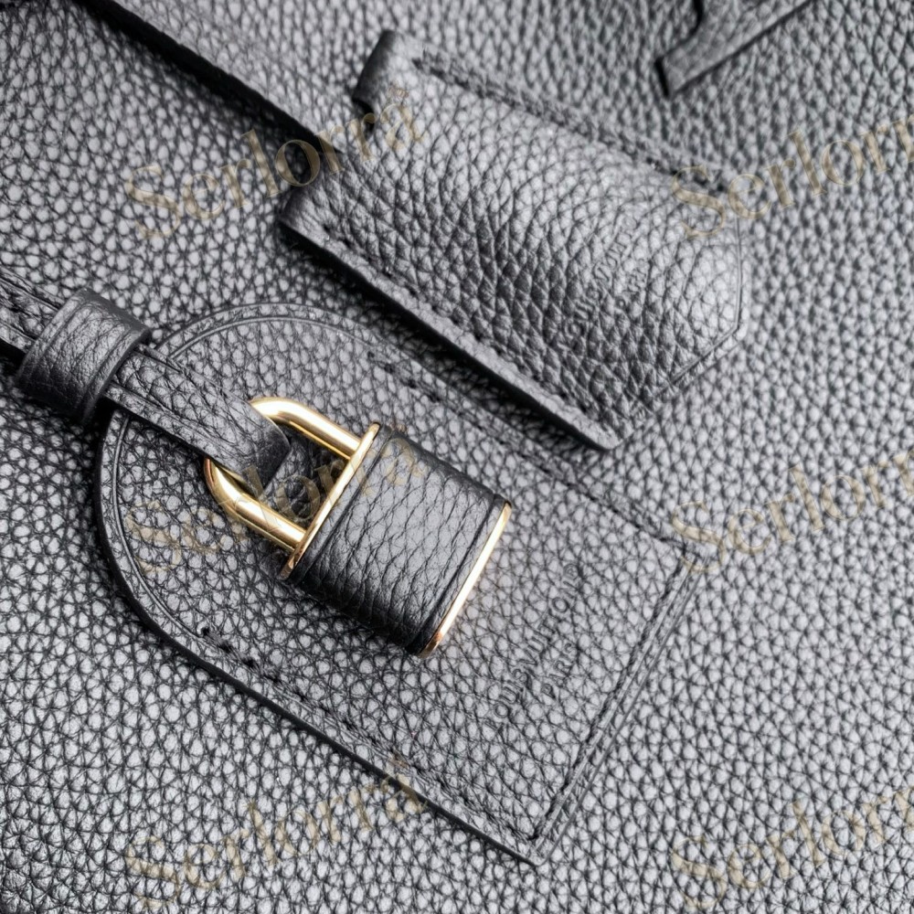 LOUIS VUITTON CAPUCINES GM