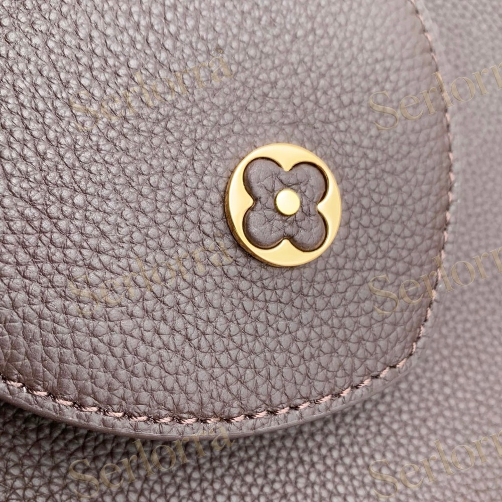 LOUIS VUITTON CAPUCINES GM