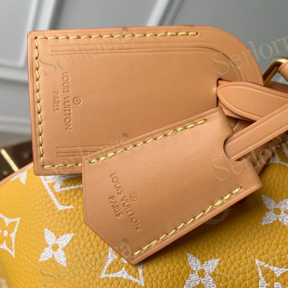 LOUIS VUITTON SPEEDY P9 BANDOULIÈRE 20