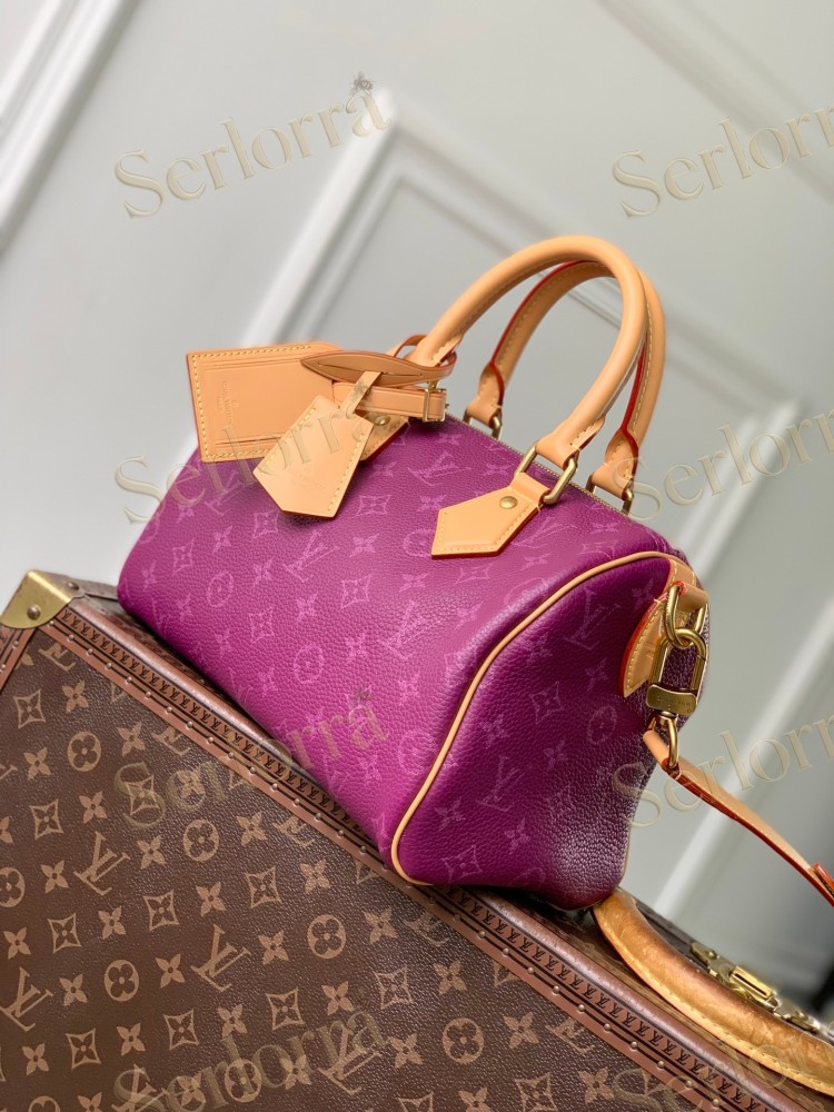 LOUIS VUITTON SPEEDY P9 BANDOULIÈRE 25