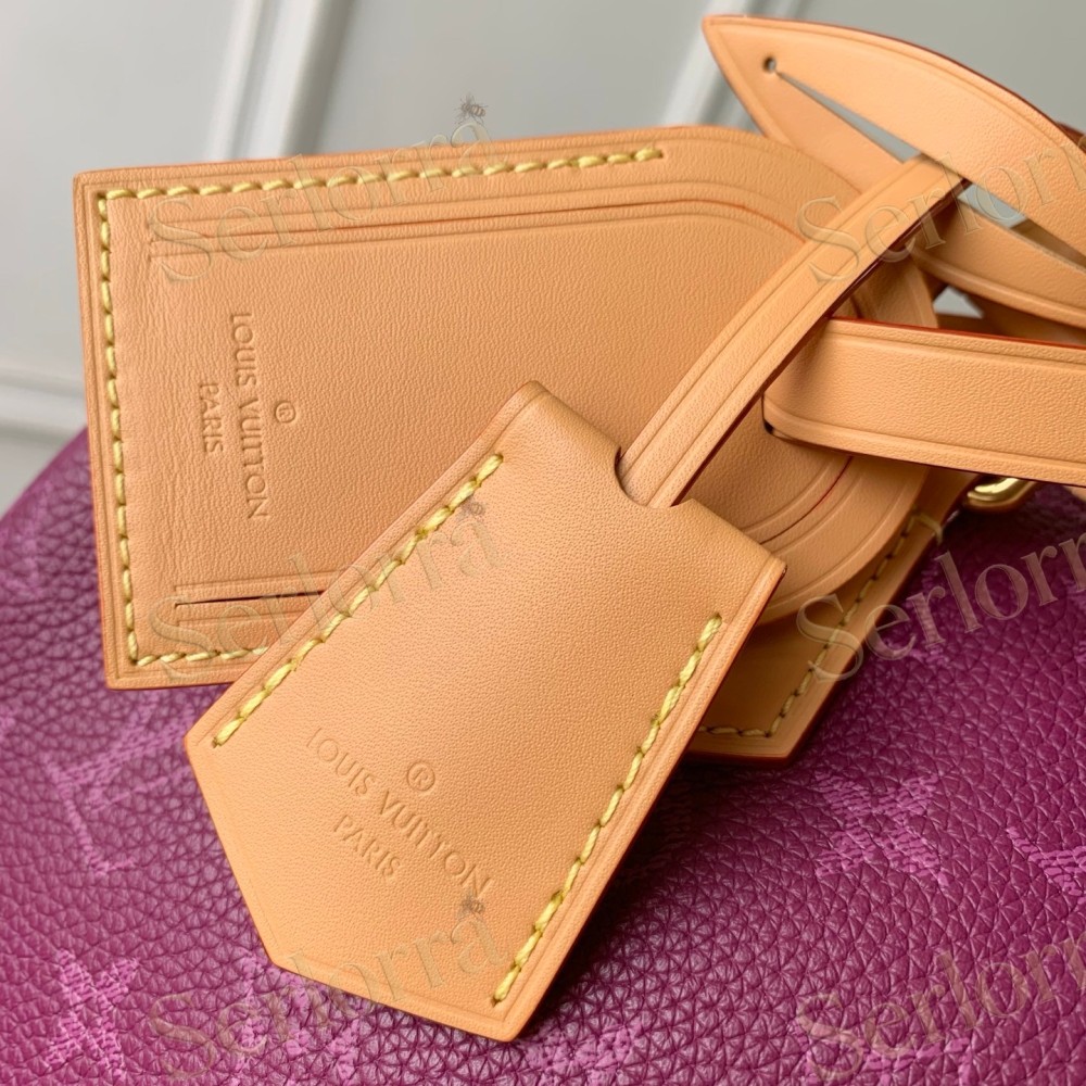 LOUIS VUITTON SPEEDY P9 BANDOULIÈRE 25