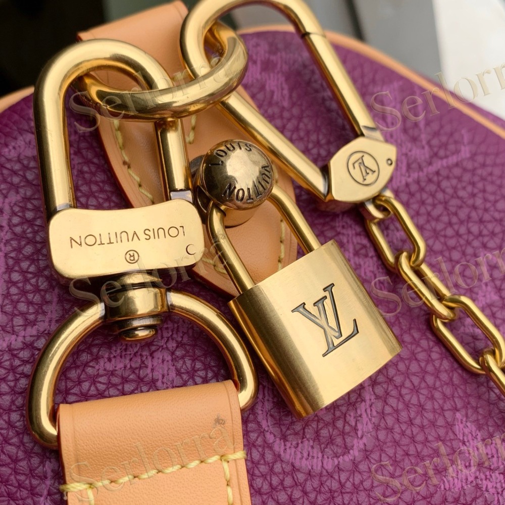 LOUIS VUITTON SPEEDY P9 BANDOULIÈRE 25