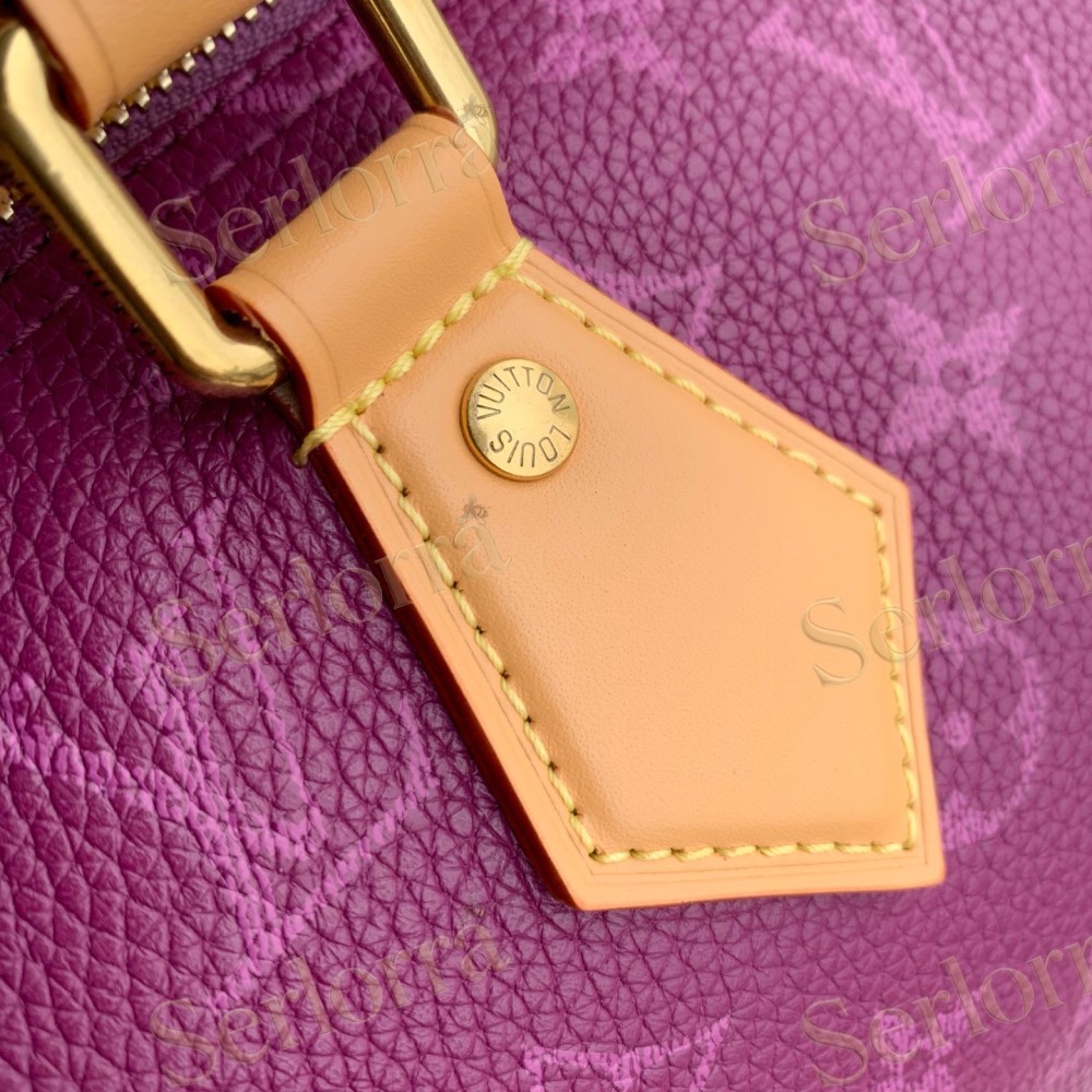 LOUIS VUITTON SPEEDY P9 BANDOULIÈRE 25