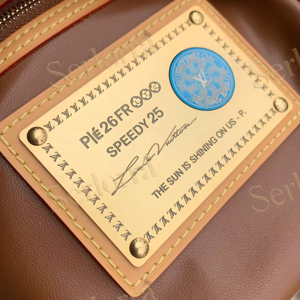 LOUIS VUITTON SPEEDY P9 BANDOULIÈRE 25