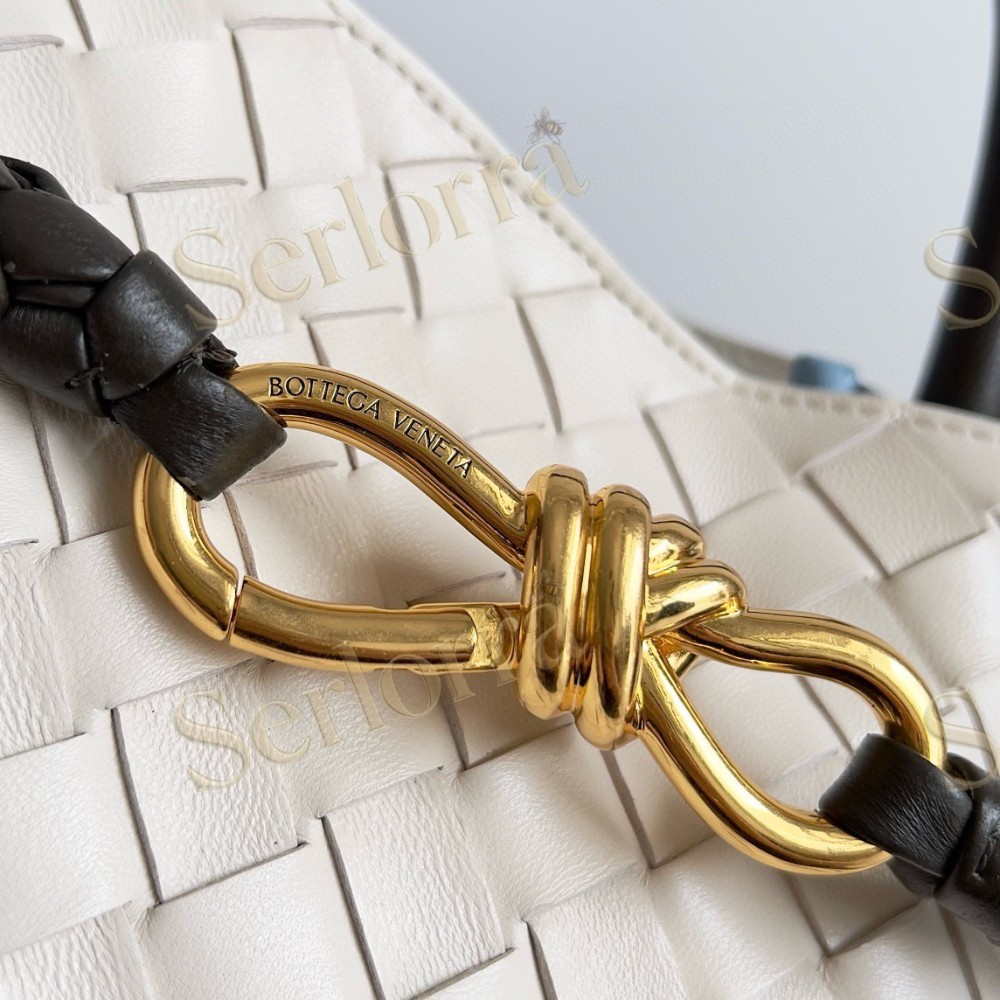 BOTTEGA VENETA MEDIUM ANDIAMO