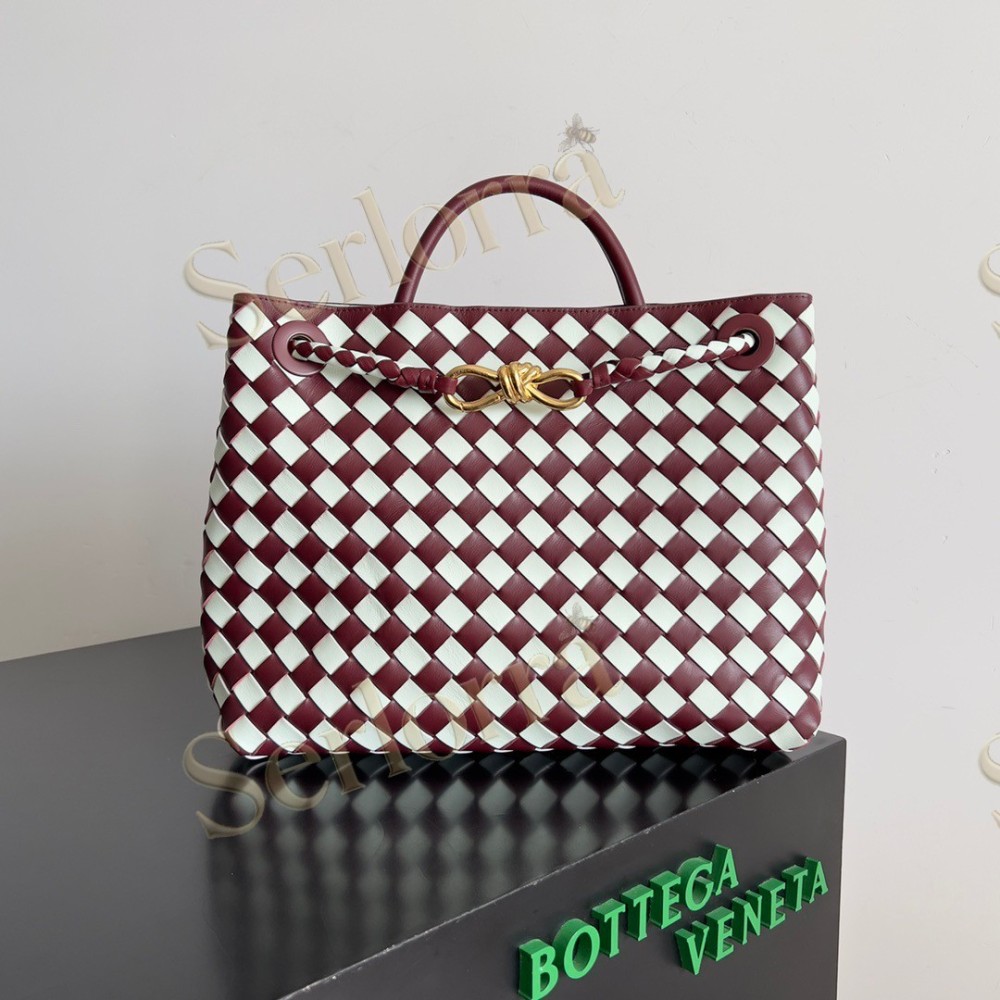 BOTTEGA VENETA MEDIUM ANDIAMO