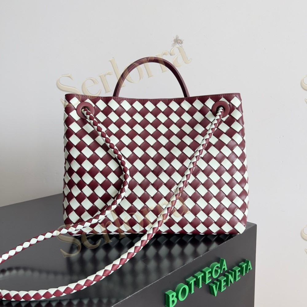BOTTEGA VENETA MEDIUM ANDIAMO