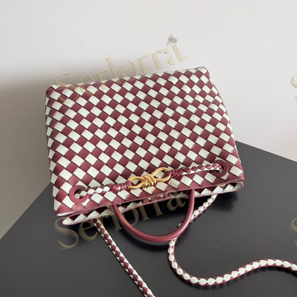 BOTTEGA VENETA MEDIUM ANDIAMO