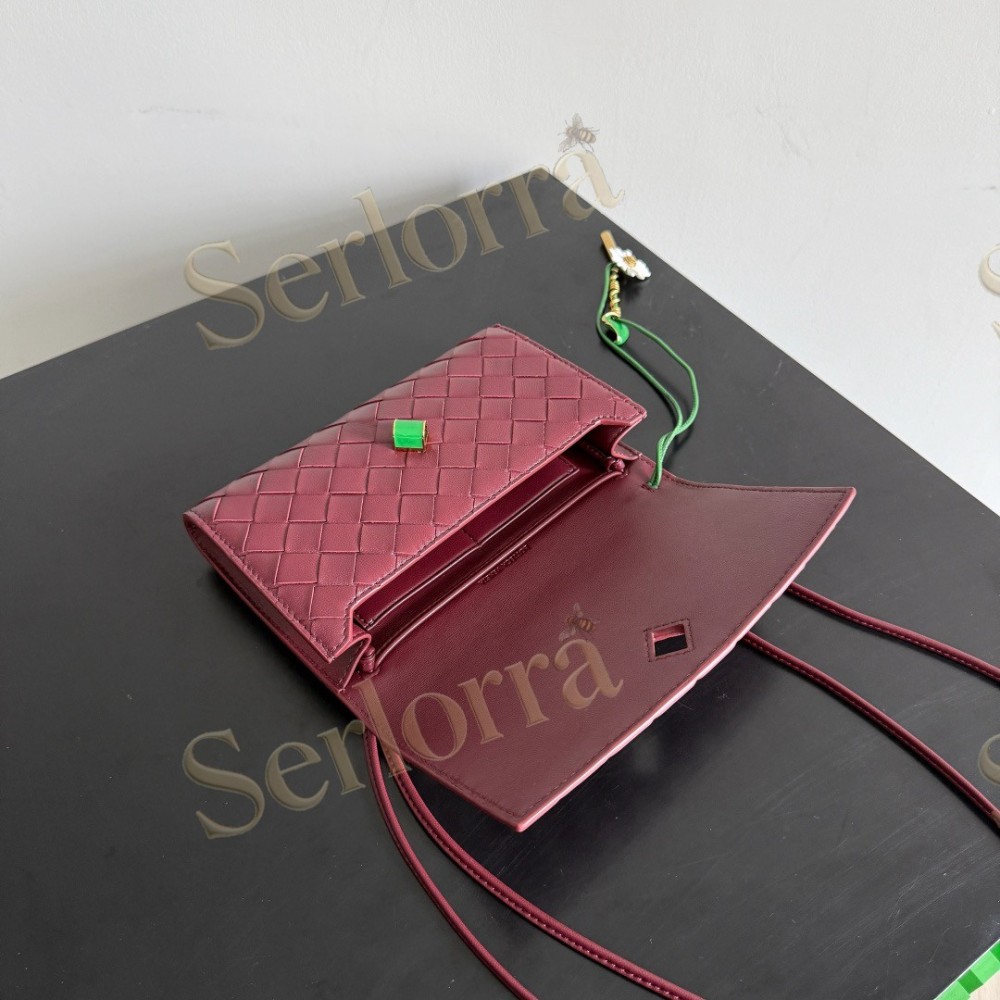 BOTTEGA VENETA ANDIAMO POUCH ON STRAP
