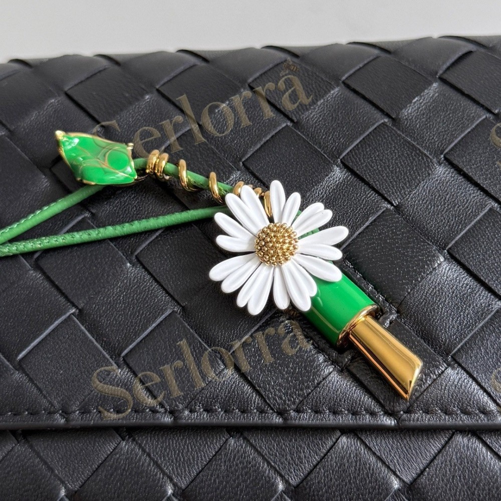 BOTTEGA VENETA ANDIAMO POUCH ON STRAP