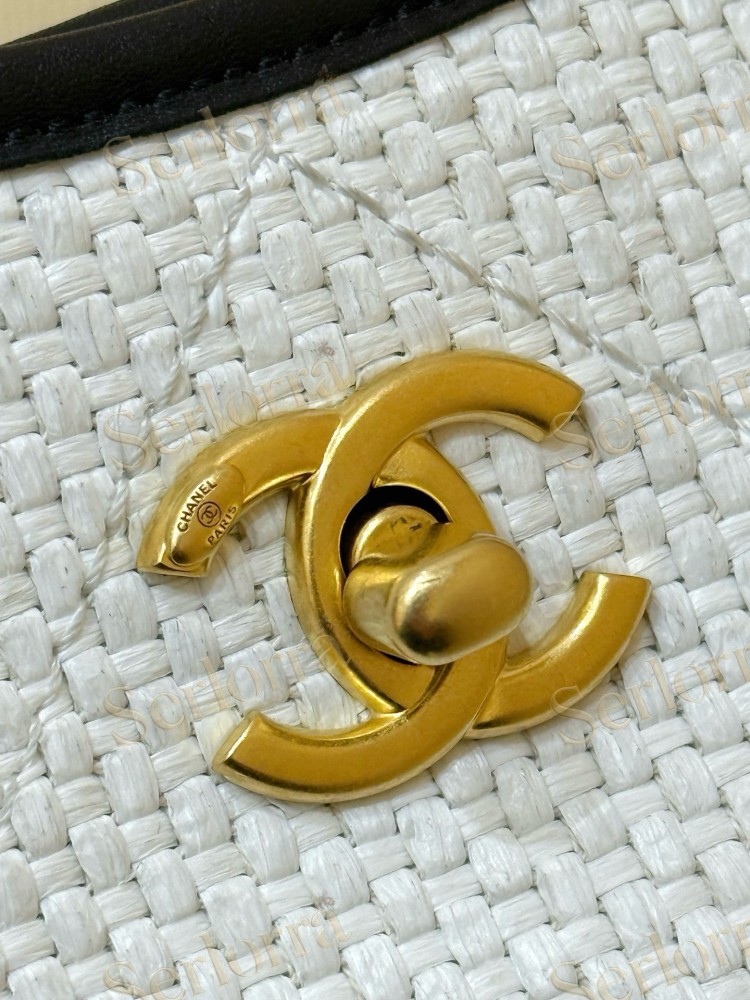 CHANEL MASTER SAC GABRIELLE COCODILLE TOTE BAG