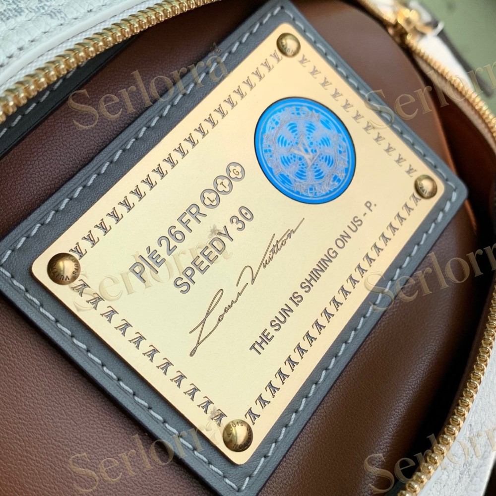 LOUIS VUITTON SPEEDY P9 BANDOULIÈRE 30