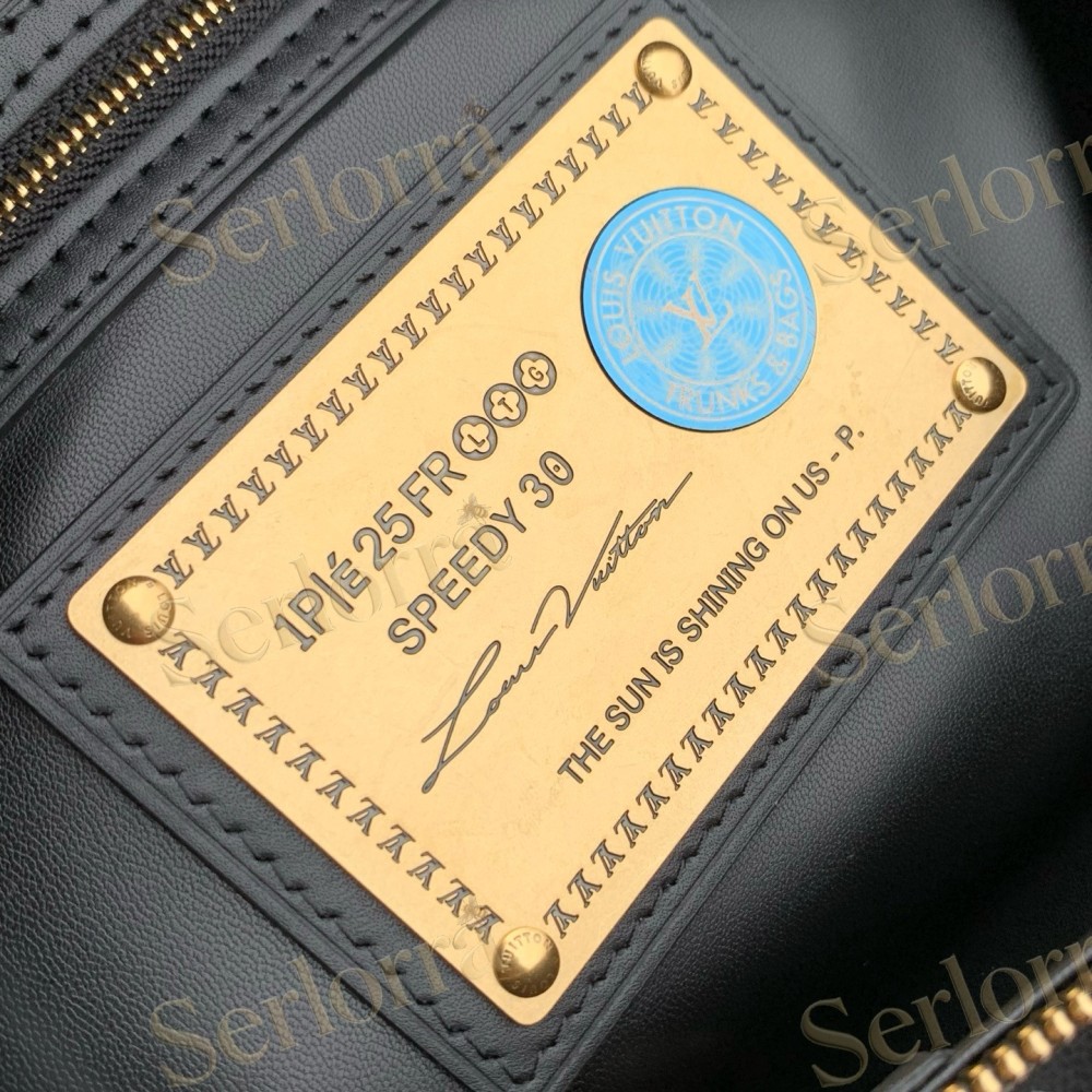 LOUIS VUITTON SPEEDY P9 BANDOULIÈRE 30