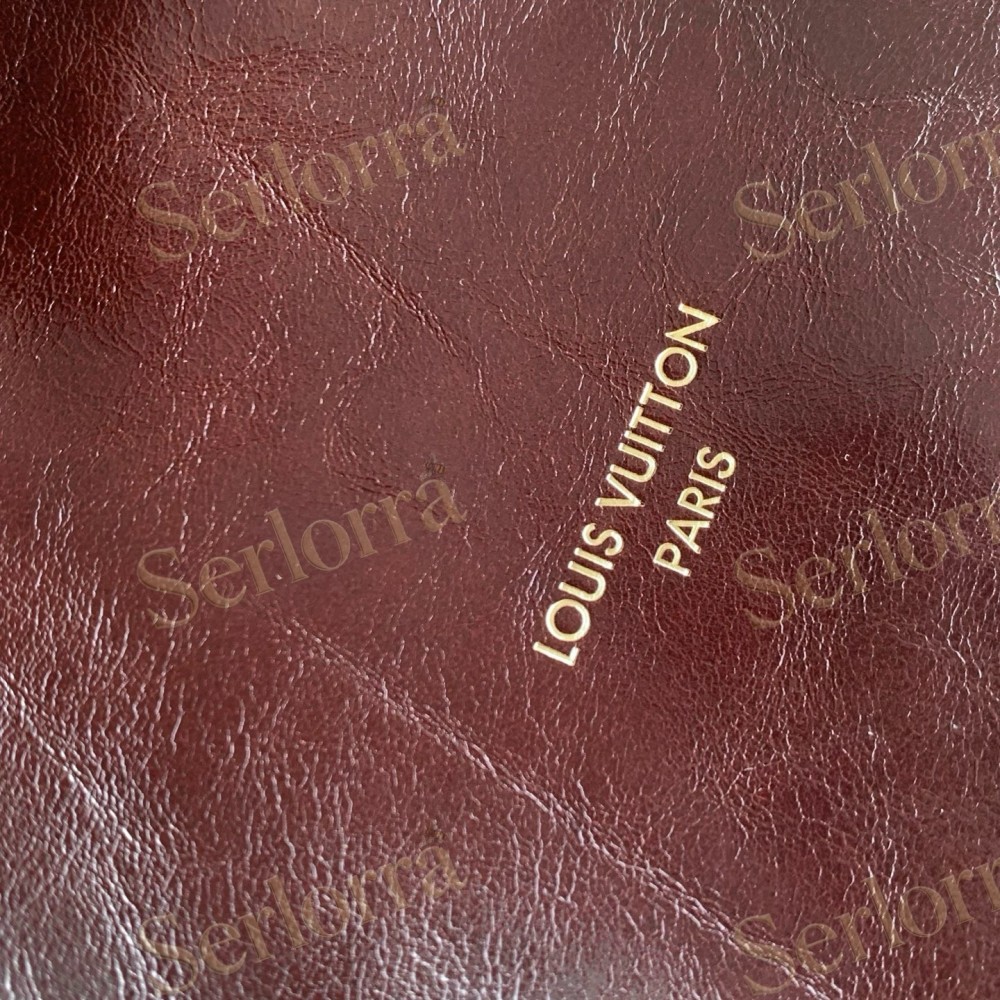 LOUIS VUITTON EXPRESS PM