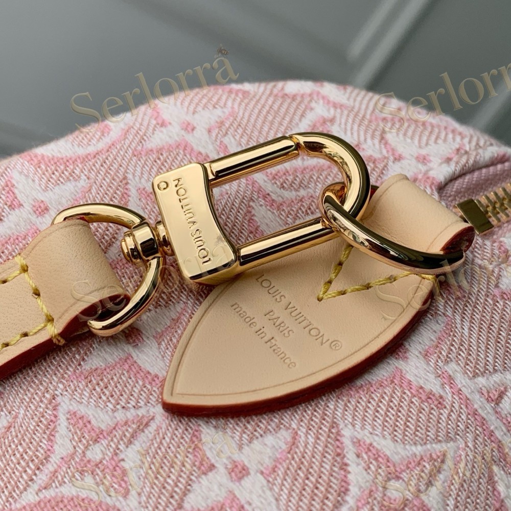 LOUIS VUITTON SPEEDY BANDOULIÈRE 20