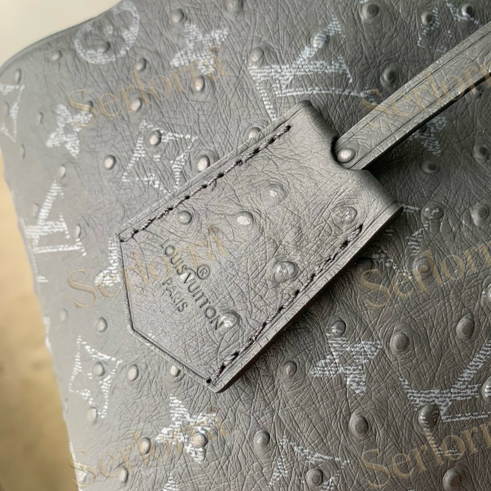 LOUIS VUITTON SPEEDY P9 BANDOULIÈRE 30