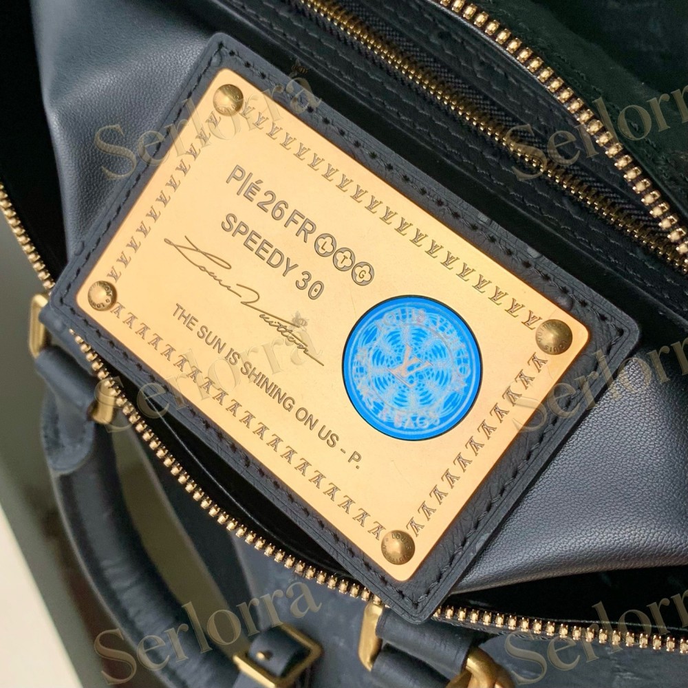 LOUIS VUITTON SPEEDY P9 BANDOULIÈRE 30