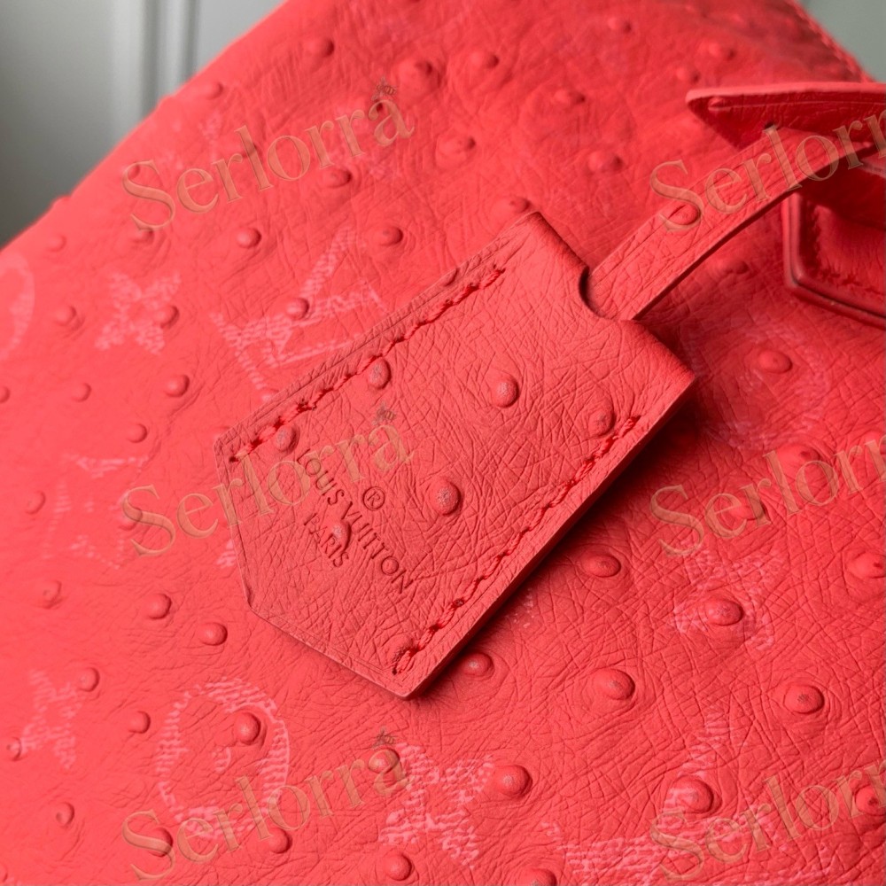 LOUIS VUITTON SPEEDY P9 BANDOULIÈRE 30