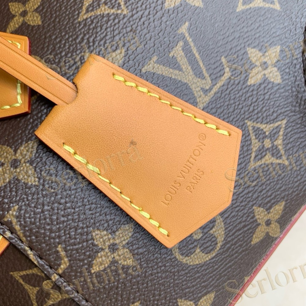 LOUIS VUITTON MONOGRAM WHEELED PET CARRIER BAG